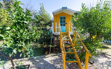 Property slide 10