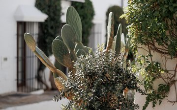 Property slide 41