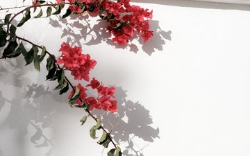 Property slide 43