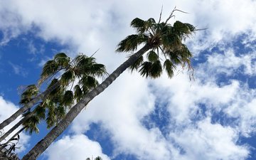 Property slide 27