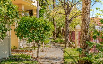 Property slide 43