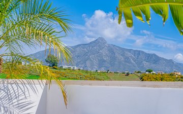 Property slide 37