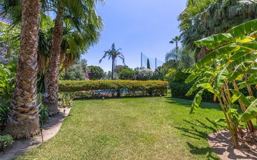 Property slide 35