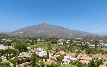 Property slide 41