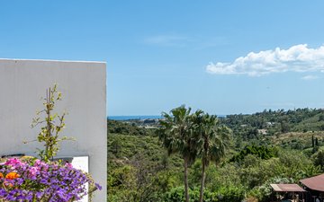 Property slide 29