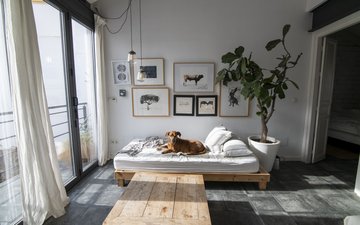 Property slide 2