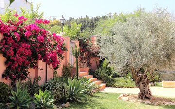 Property slide 47