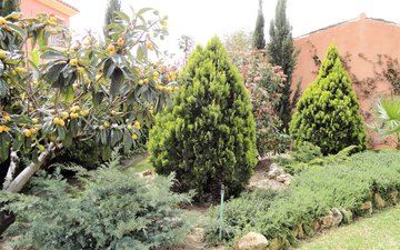 Property slide 44