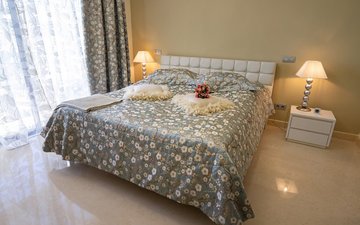 Property slide 19