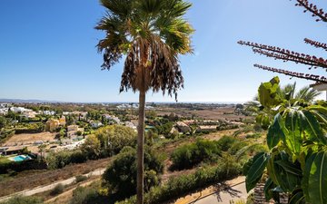 Property slide 36