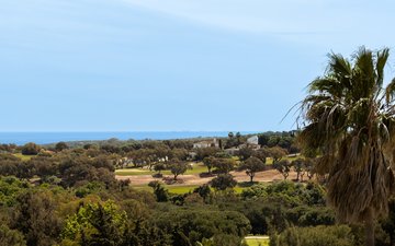Property slide 31