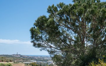 Property slide 40