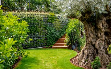 Property slide 49