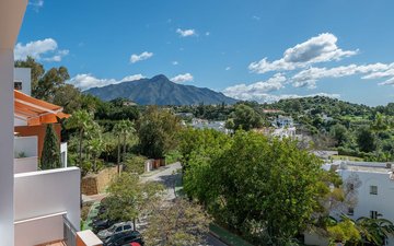 Property slide 34