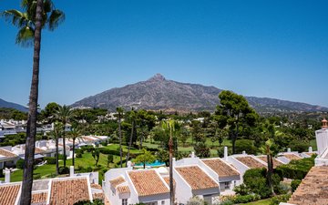 Property slide 26