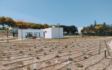 Property slide 29