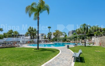Property slide 31