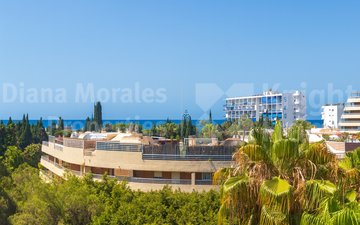 Property slide 27