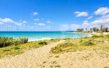 Property slide 40