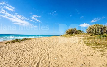 Property slide 39