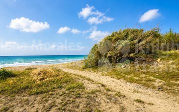 Property slide 37