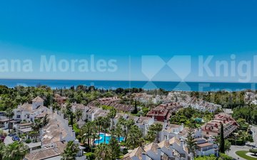 Property slide 31