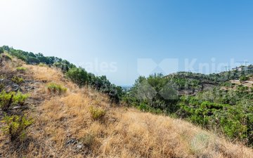 Property slide 4