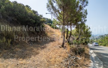 Property slide 12