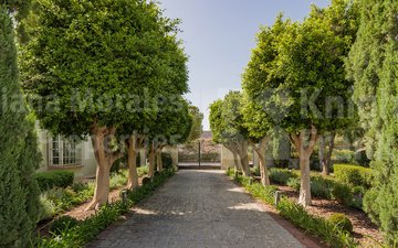 Property slide 31