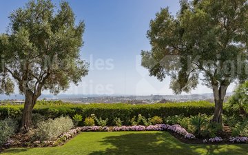 Property slide 38