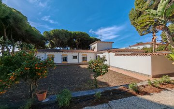 Property slide 25