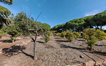 Property slide 27