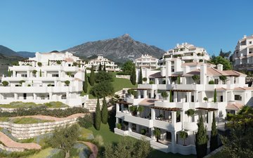 Diapositive de propriété 5