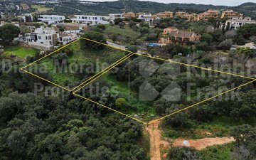 Property slide 8