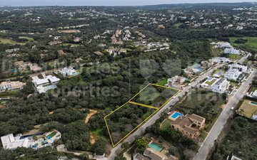 Property slide 11