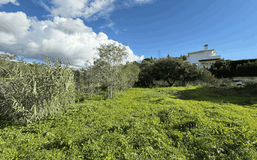 Property slide 8