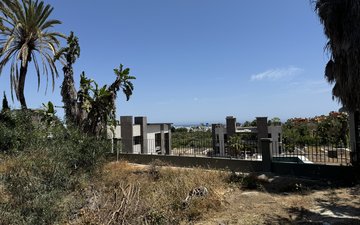 Property slide 13