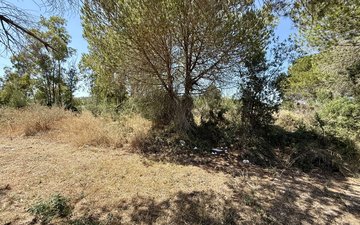 Property slide 12