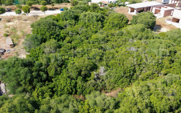 Property slide 3