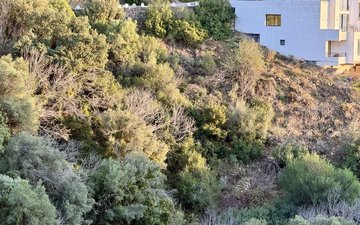 Property slide 14