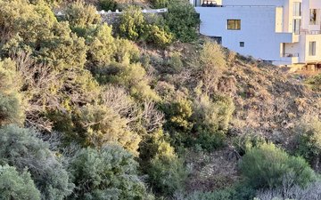 Property slide 15