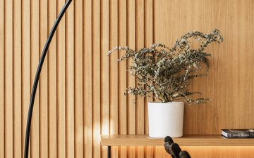 Diapositive de propriété 6