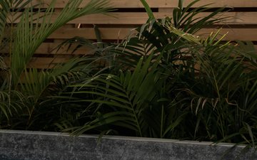 Diapositive de propriété 25