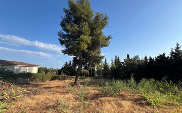 Property slide 5