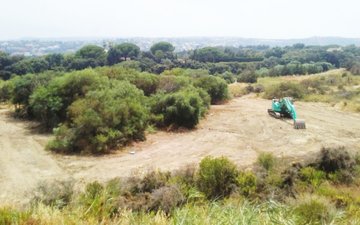 Property slide 1