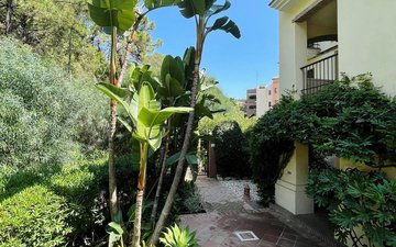 Property slide 9