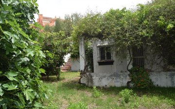 Property slide 10