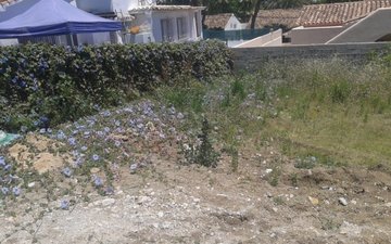 Property slide 4
