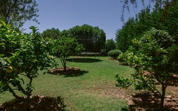 Property slide 11