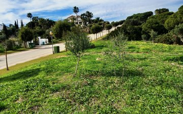 Property slide 11